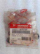O-RING 1AP10.0 24311-000100