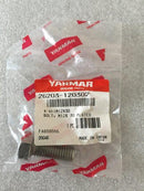 BOLTPLATED 26203-120302