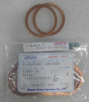 COPPER-GASKET E43441400