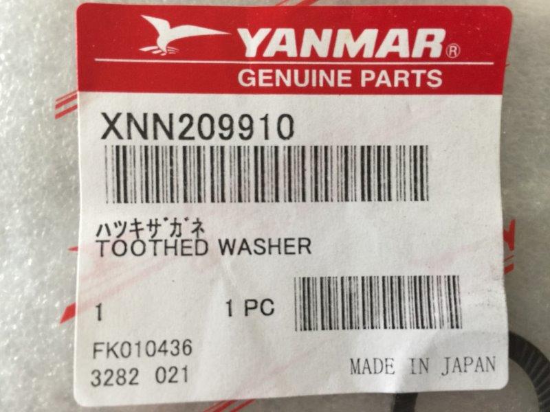 TOOTHED WASHER XNN209910