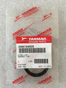 GASKET XNN164605