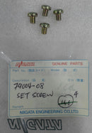 SET SCREW 79004-8