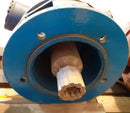HYDRAULIC MOTOR