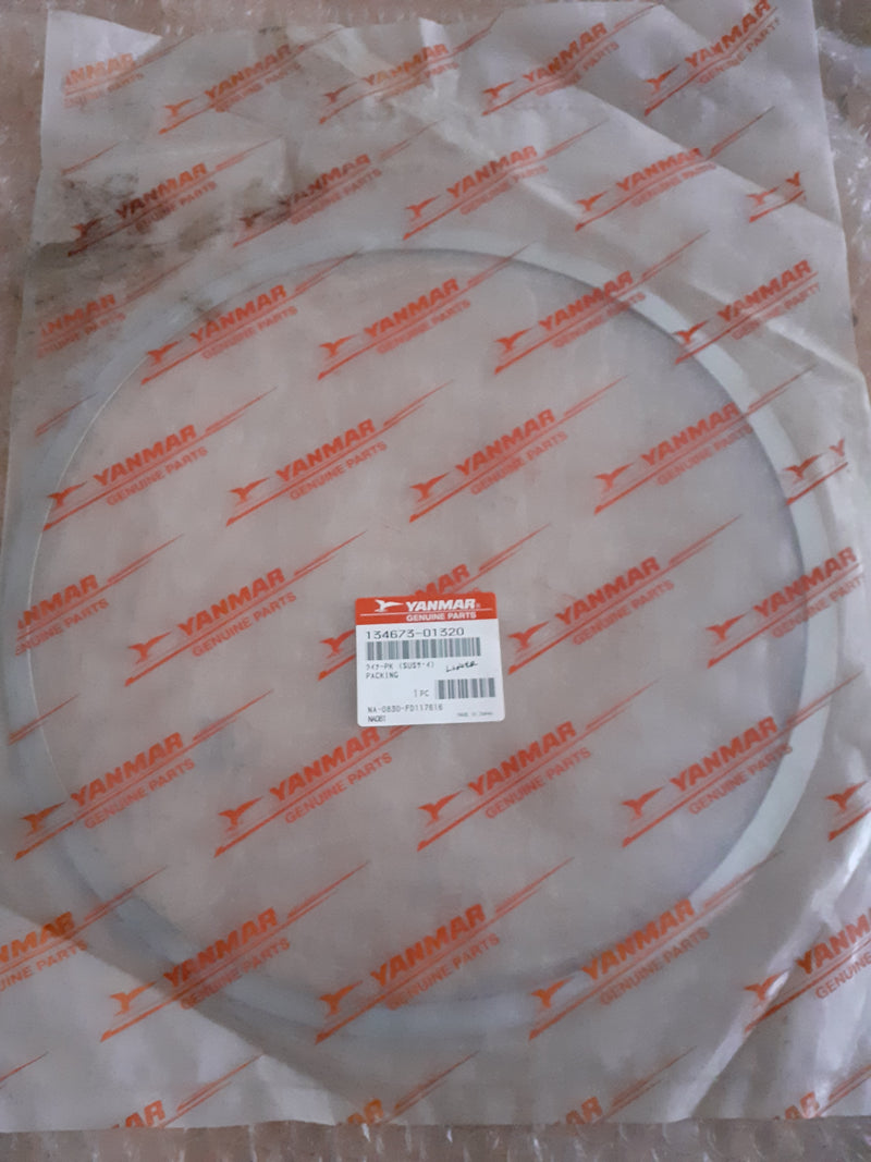 PACKING, LINER 134673-01320
