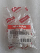 NUT,CAP M12 190301-11970