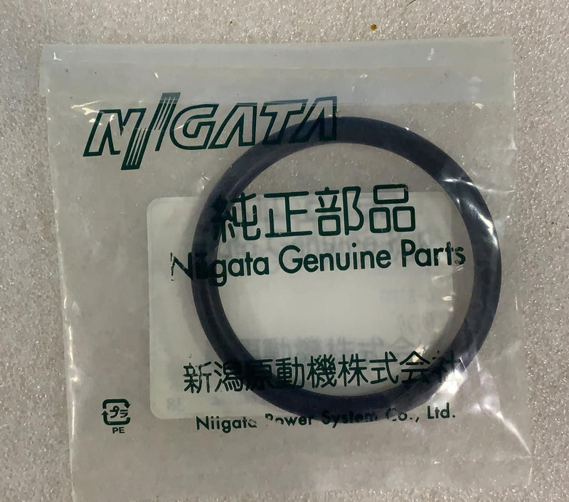 O-RING A60100560