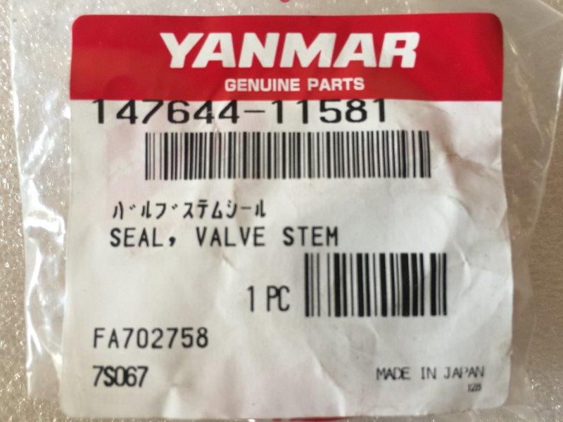 SEAL VALVE STEM 147644-11581