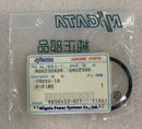 O-RING A60250400