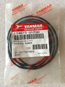 PACKING, RUBBER 134673-01290