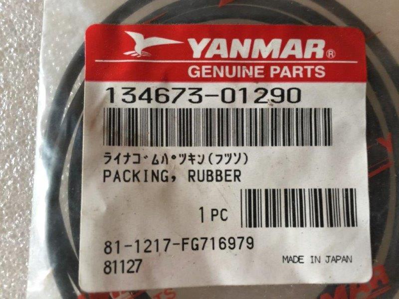 PACKING, RUBBER 134673-01290