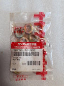 NUT 26796-100002