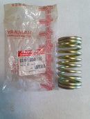 SPRING (B), VALVE, 137678-11130