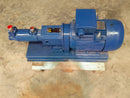 AZCUE PUMP WITH MOTOR (BARESHAFT PUMP)(BOILER PUMP)