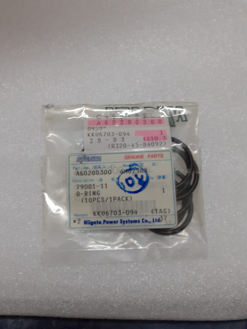 O-RING A60200300