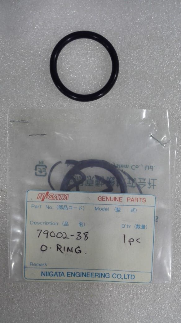 O-RING A60100210