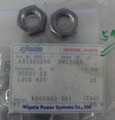 LOCK NUT A31301200