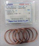 GASKET FOR SV. 977618250